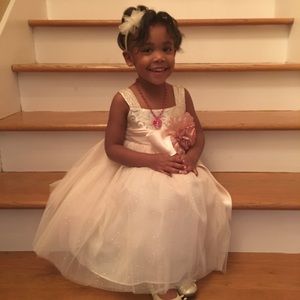 Meet your Posher, Will